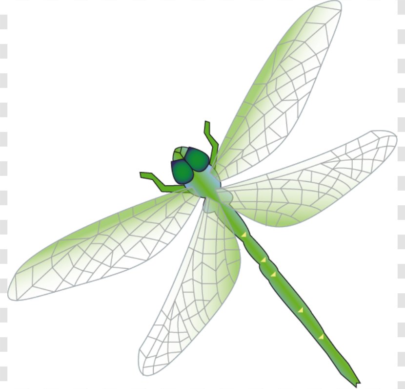 Dragonfly Clip Art - Arthropod - Outline Transparent PNG