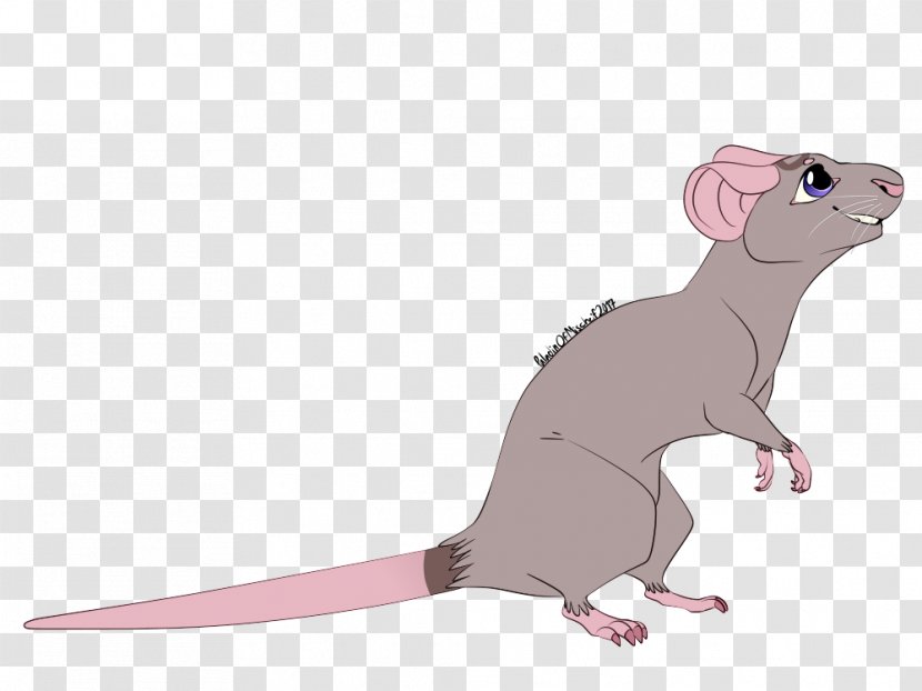 Ferret Pet Reptile Computer Mouse Fauna - Tail Transparent PNG