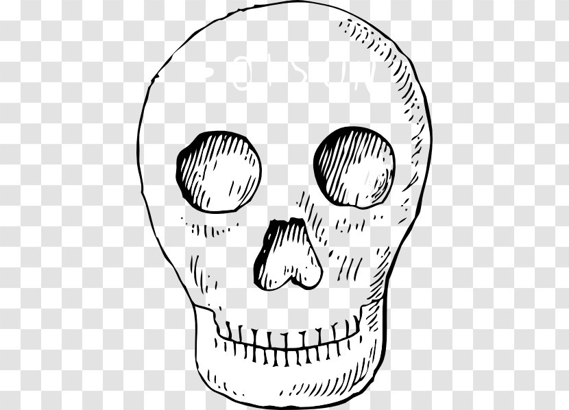 Calavera Skull Skeleton Clip Art - Frame - Head Cliparts Transparent PNG