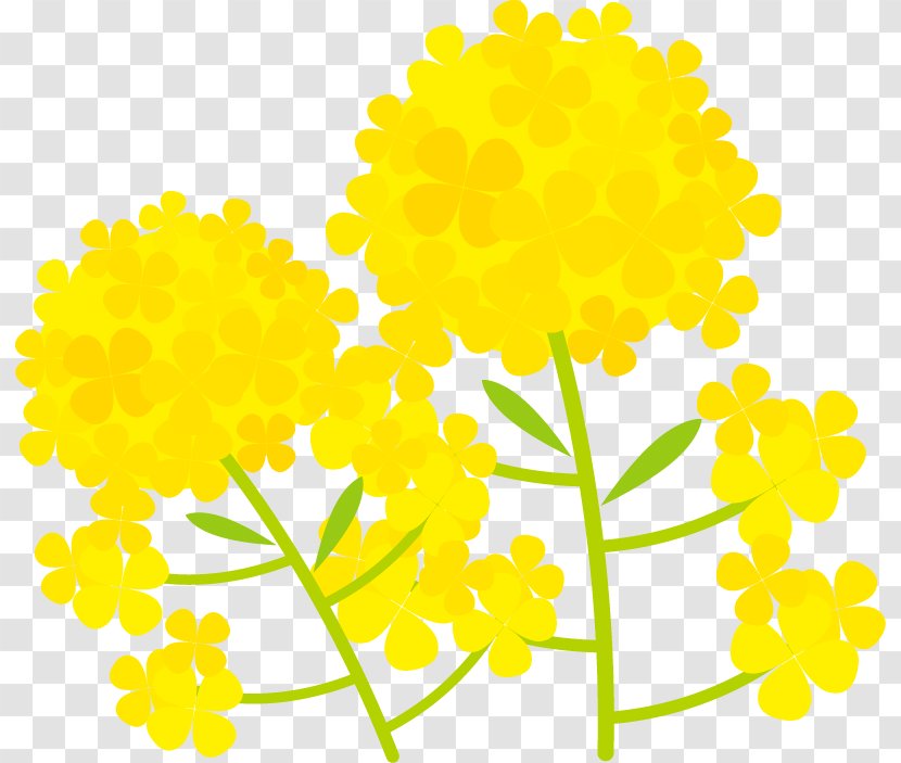 Illustration Of A Two-wheeled Flower. - Grass - Yellow Transparent PNG