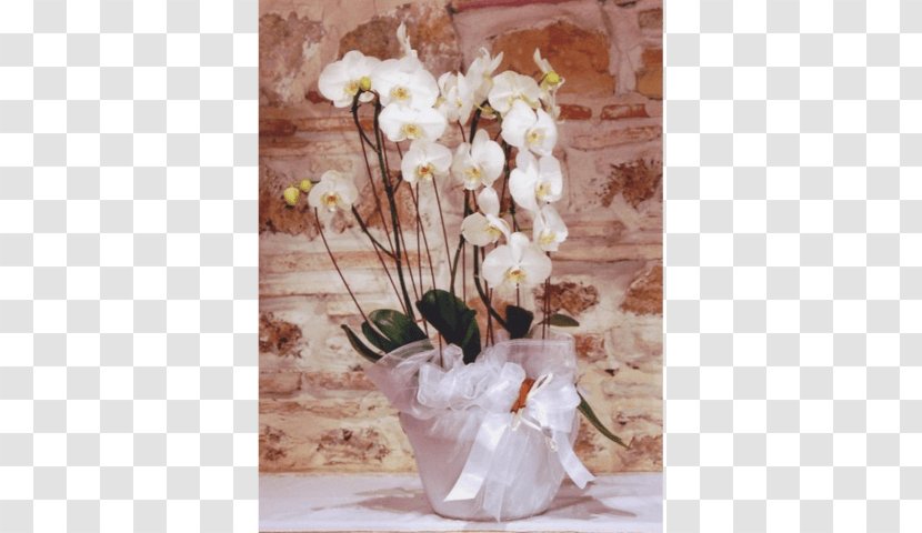 Rieti Floral Design Flower Floristry Interflora - Vase - Addobbi Floreali Transparent PNG