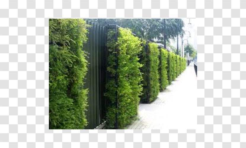 Green Wall Roof Garden - Design Transparent PNG