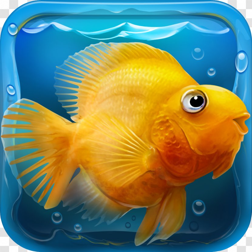 IQuarium Relaxing Game Download Android - Aquarium Transparent PNG
