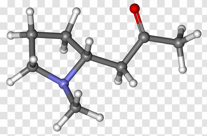 Ball-and-stick Model Hygrine Molecule Space-filling Chemical Nomenclature - Frame - Flower Transparent PNG