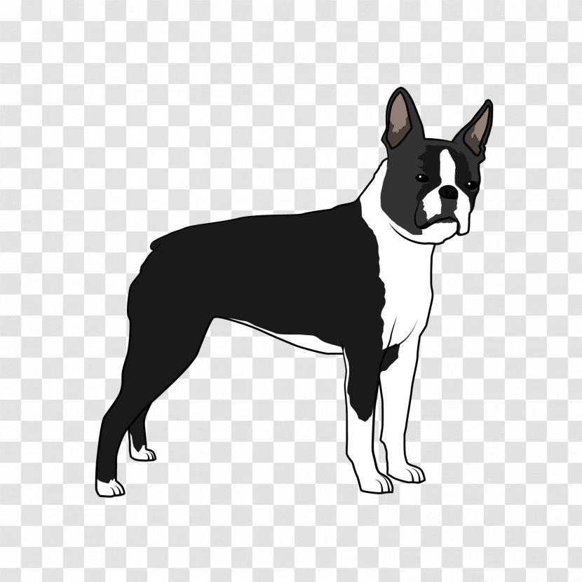 Boston Terrier Dog Breed Non-sporting Group Whiskers (dog) - Like Mammal - Vertebrate Transparent PNG