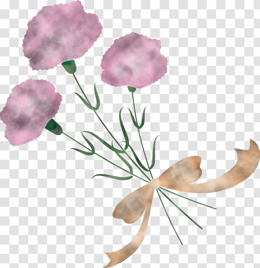 Mothers Day Carnation Mothers Day Flower Transparent PNG