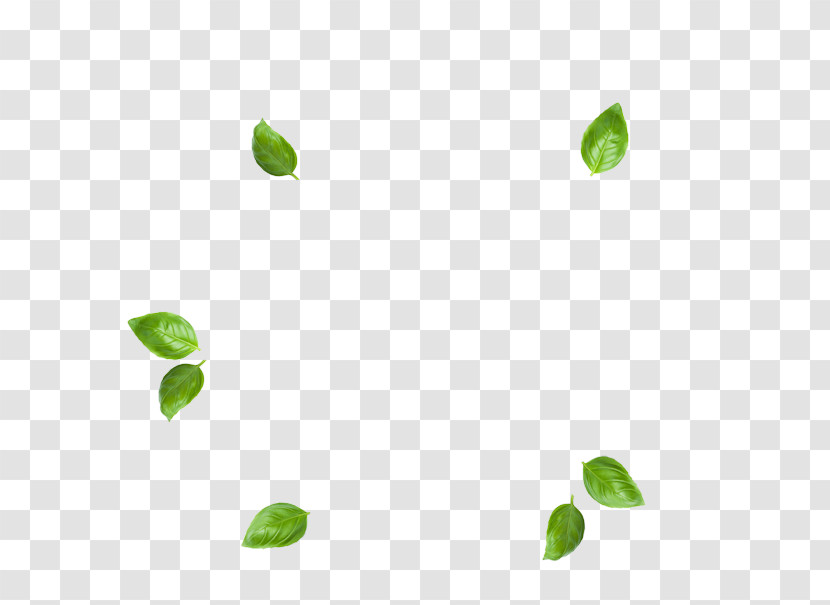 Green Leaf Plant Flower Transparent PNG