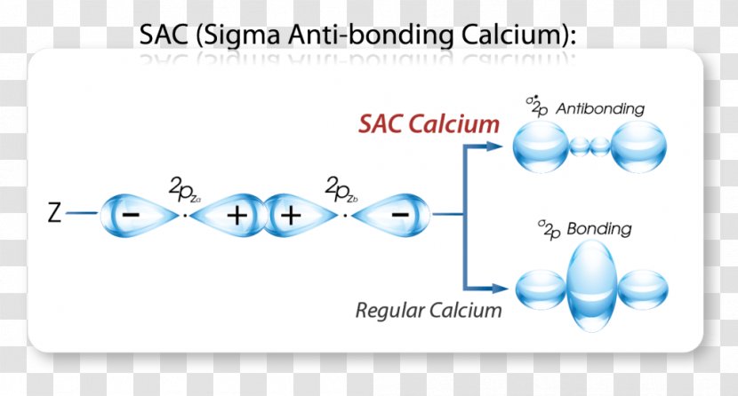 Calcium-binding Protein Serum Marah Natural - Calciumbinding - Text Transparent PNG