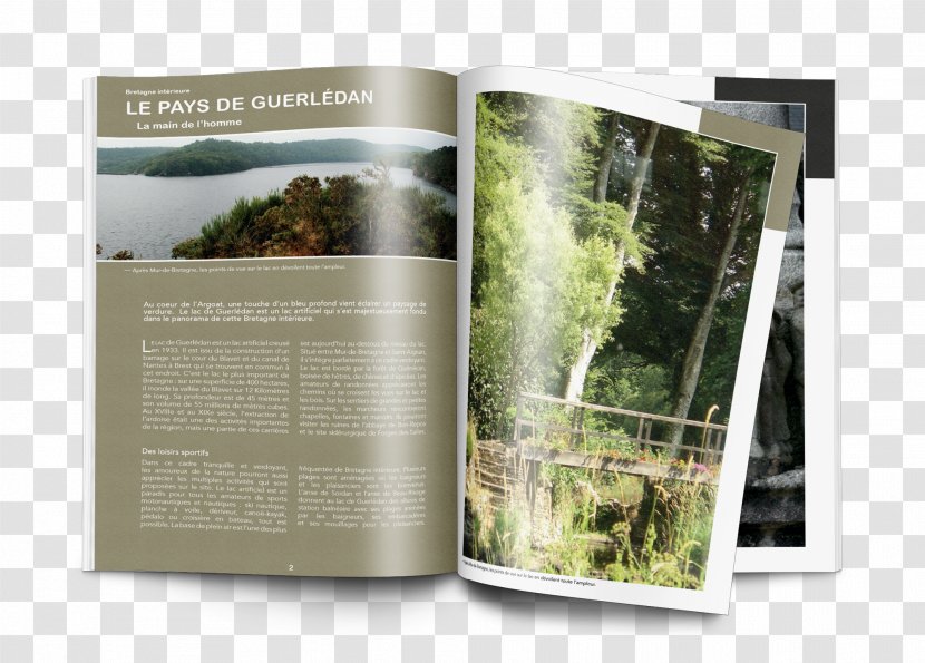 Mûr-de-Bretagne Text Brochure MZ - Brand - Curriculum Vitae Flyer Transparent PNG