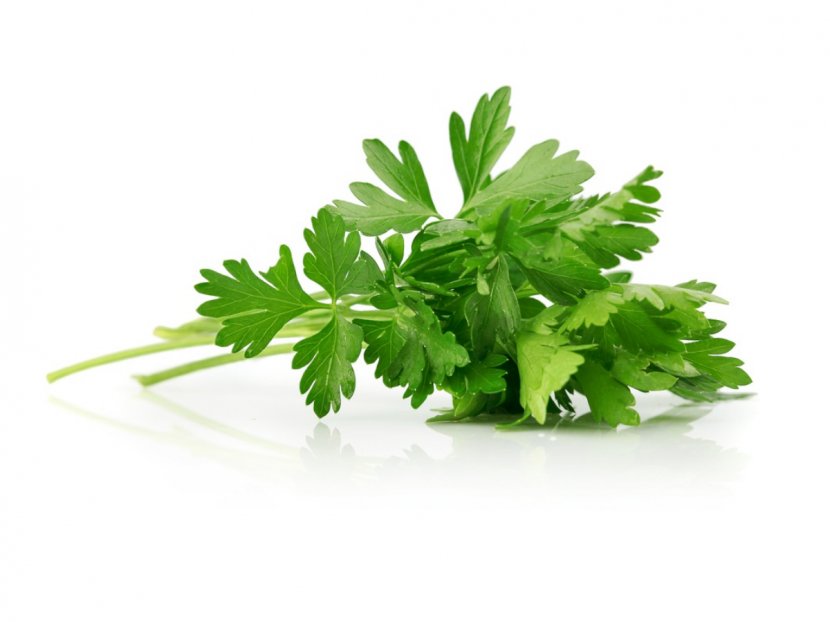 Herb Parsley Garnish Spice Flavor - Peppermint - Pepermint Transparent PNG