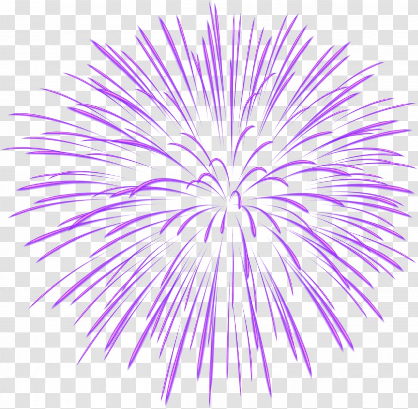 Fireworks Clip Art - Violet - Purple Firework Transparent Image Transparent PNG