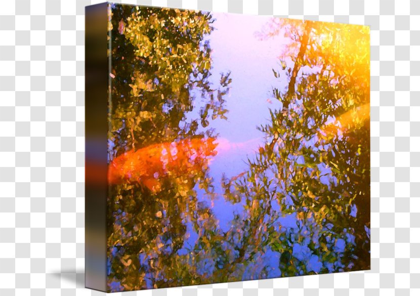 Nature Branching Sky Plc - Fish Koi Transparent PNG