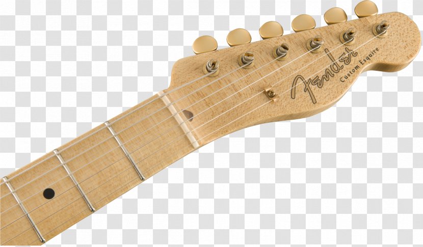 Fender Esquire Telecaster Stratocaster Musical Instruments Corporation Guitar - Yuriy Shishkov Transparent PNG