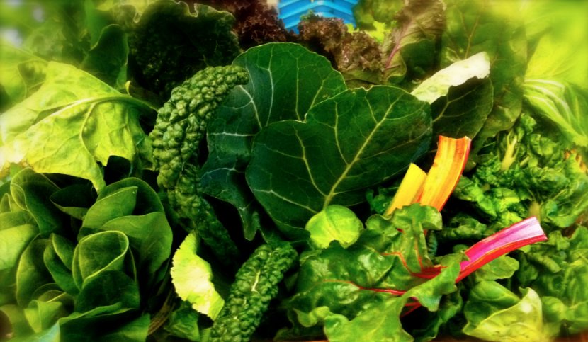 Leaf Vegetable Eating Nutrition Food - Local - Spinach Transparent PNG