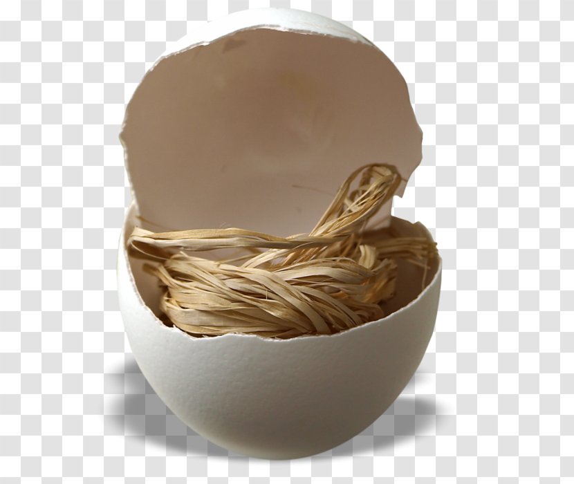 Eggshell Easter Egg Nest Transparent PNG
