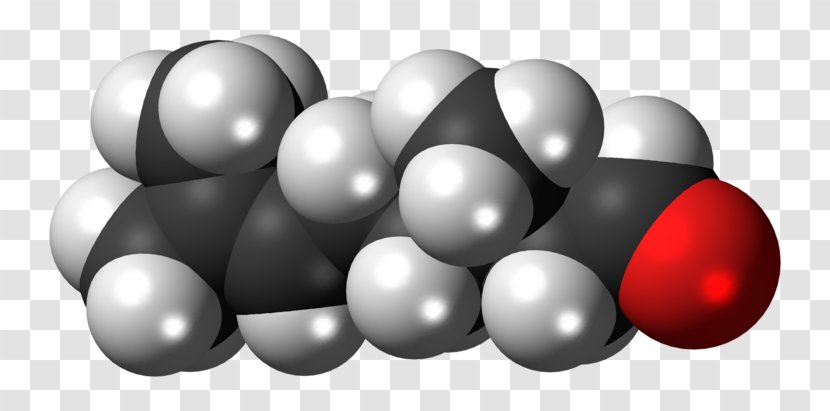 Space-filling Model 2-Hexanol Sphere 1-Hexanol Citronellol - Chemical Compound - Ester Transparent PNG