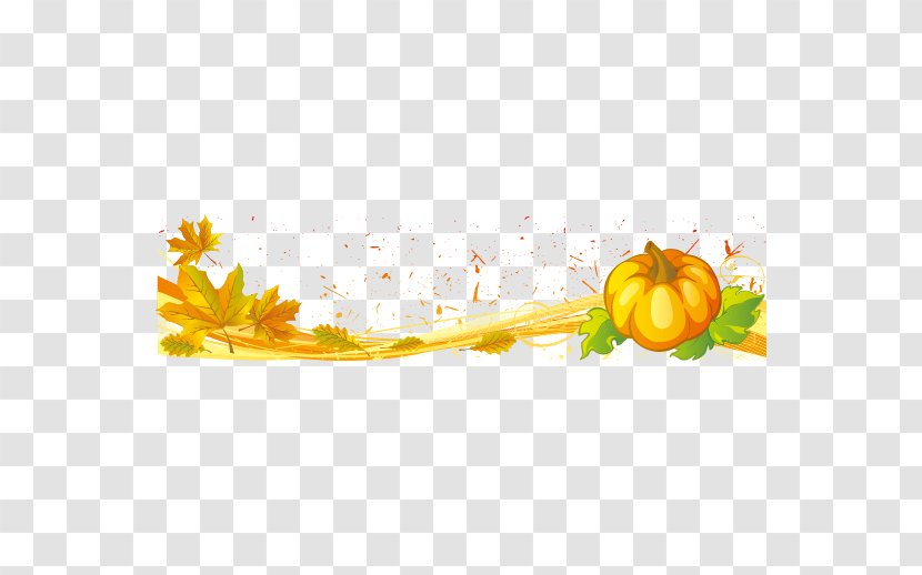 New Hampshire Pumpkin Festival Halloween Jack-o'-lantern - Flower - Element Vector Transparent PNG