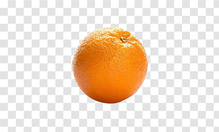 Orange Juice Blood Tangerine Tangelo Clementine - An Transparent PNG