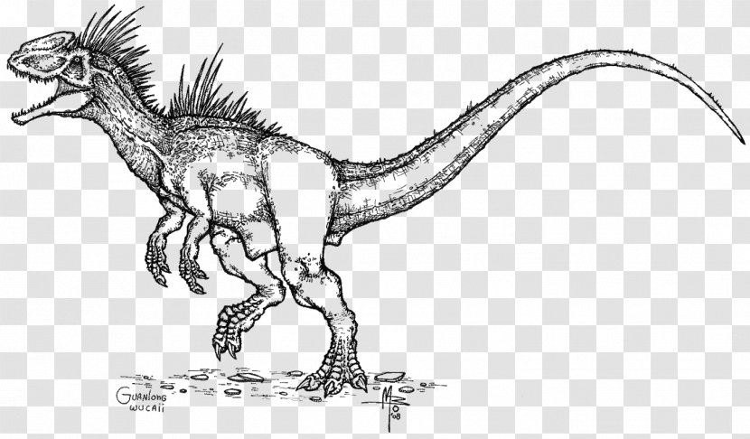 Velociraptor Tyrannosaurus Guanlong Line Art Sketch - Organism - Dino Google Transparent PNG