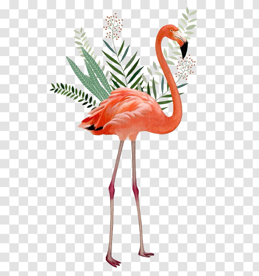Desktop Wallpaper Bird Greater Flamingo Clip Art - Vertebrate Transparent PNG