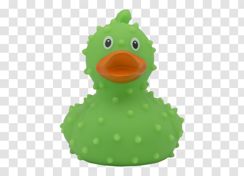 Rubber Duck Domestic Toy Natural - Waterfowl Transparent PNG