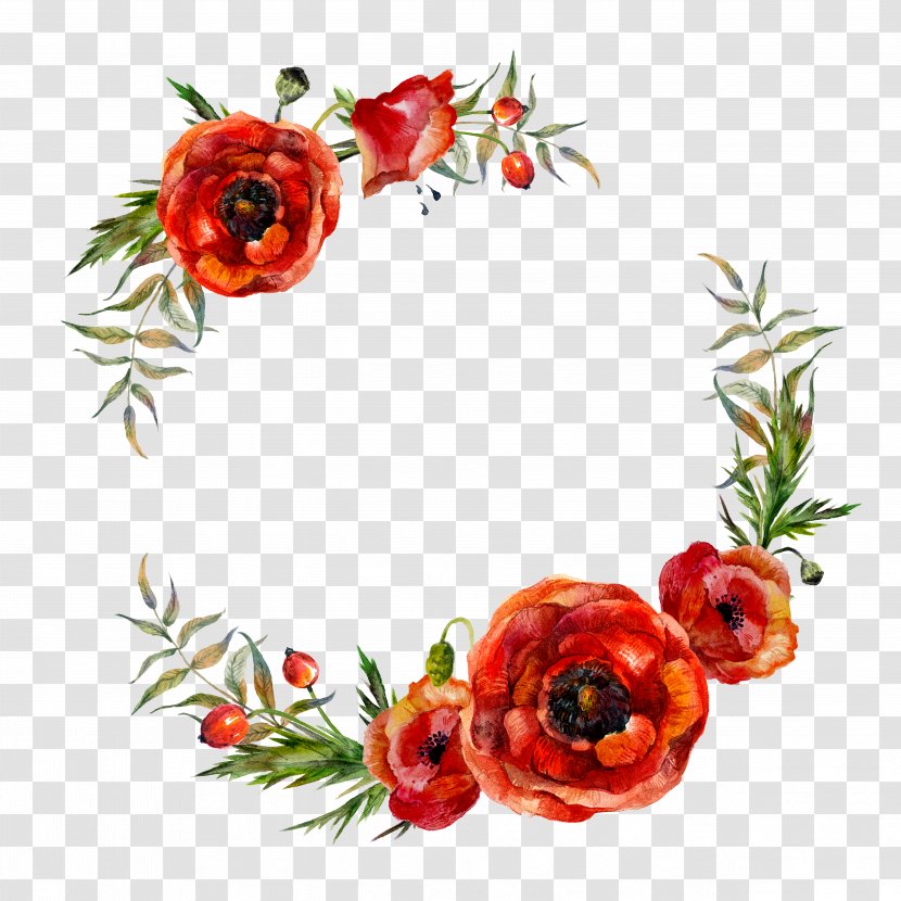 Poppy Flowers Watercolor Painting - Flower Garlands Transparent PNG