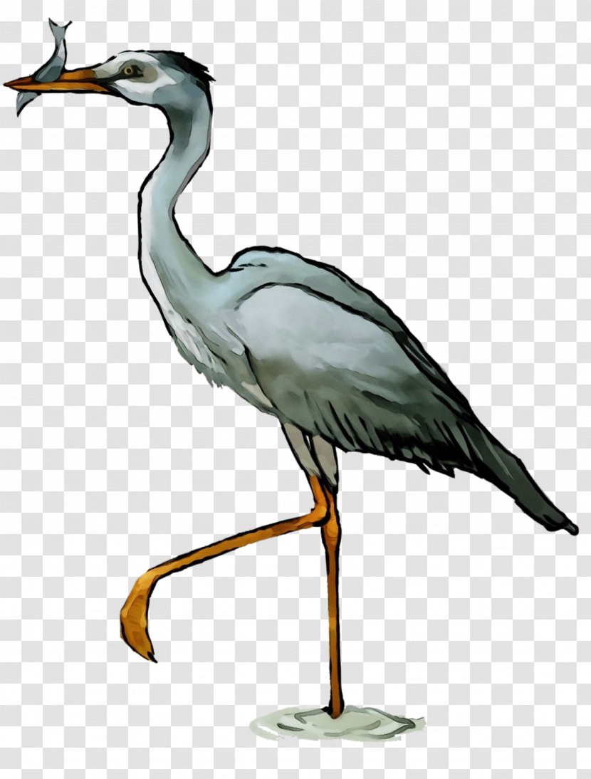 Bird Beak Crane-like Little Blue Heron - Great Crane Transparent PNG