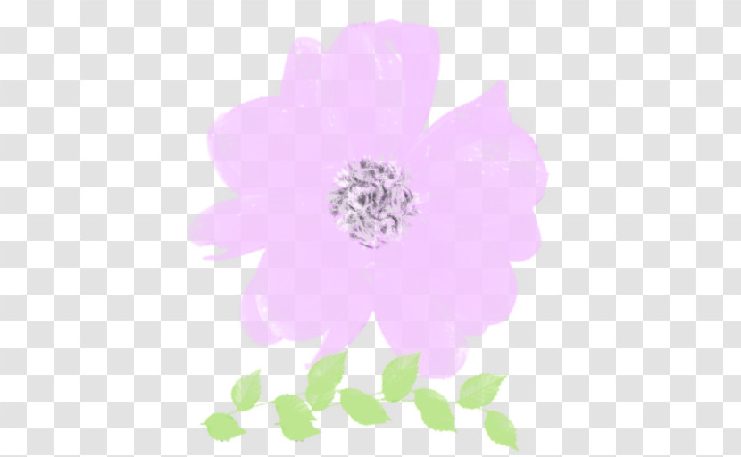 Pink Petal Violet Flower Plant Transparent PNG