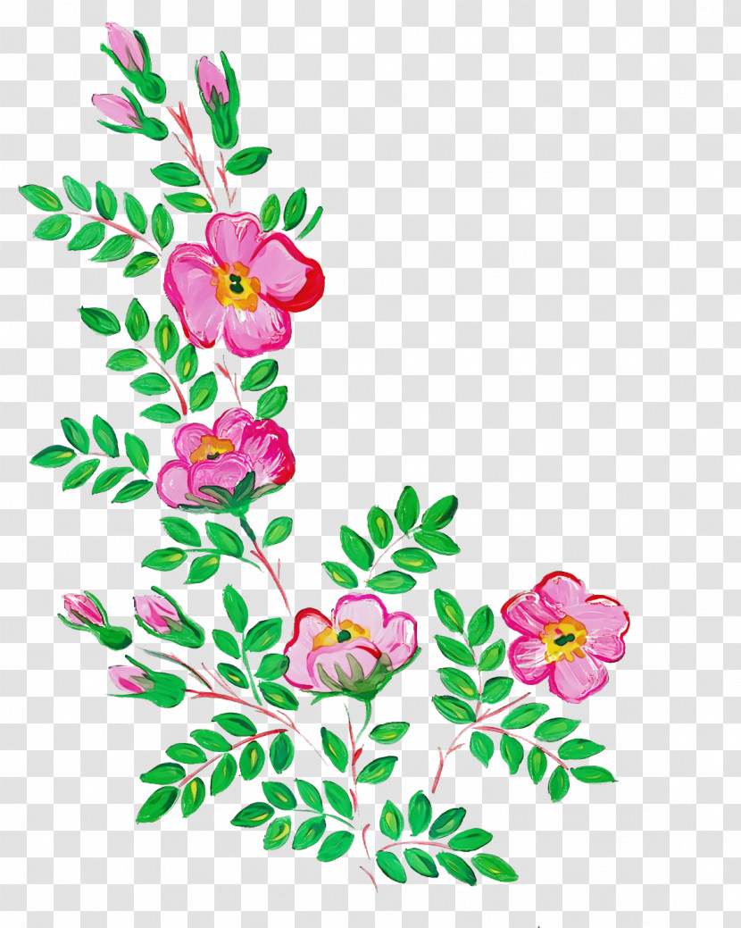 Floral Design Transparent PNG