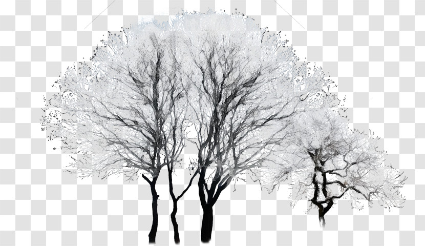 Twig Drawing /m/02csf Winter Transparent PNG