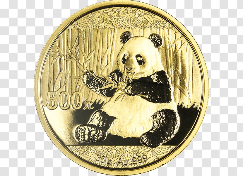 Gold Coin Chinese Panda Giant - Currency Transparent PNG