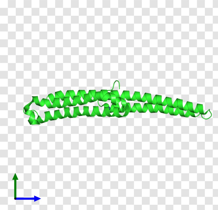 Logo Brand Green Font - Design Transparent PNG