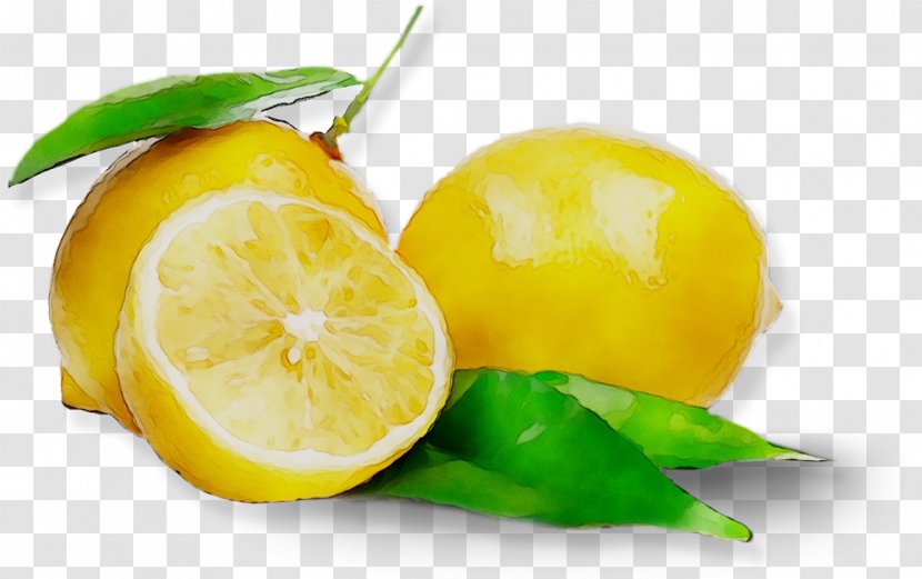 Green Tea Lemon Juice Drink - Citric Acid Transparent PNG