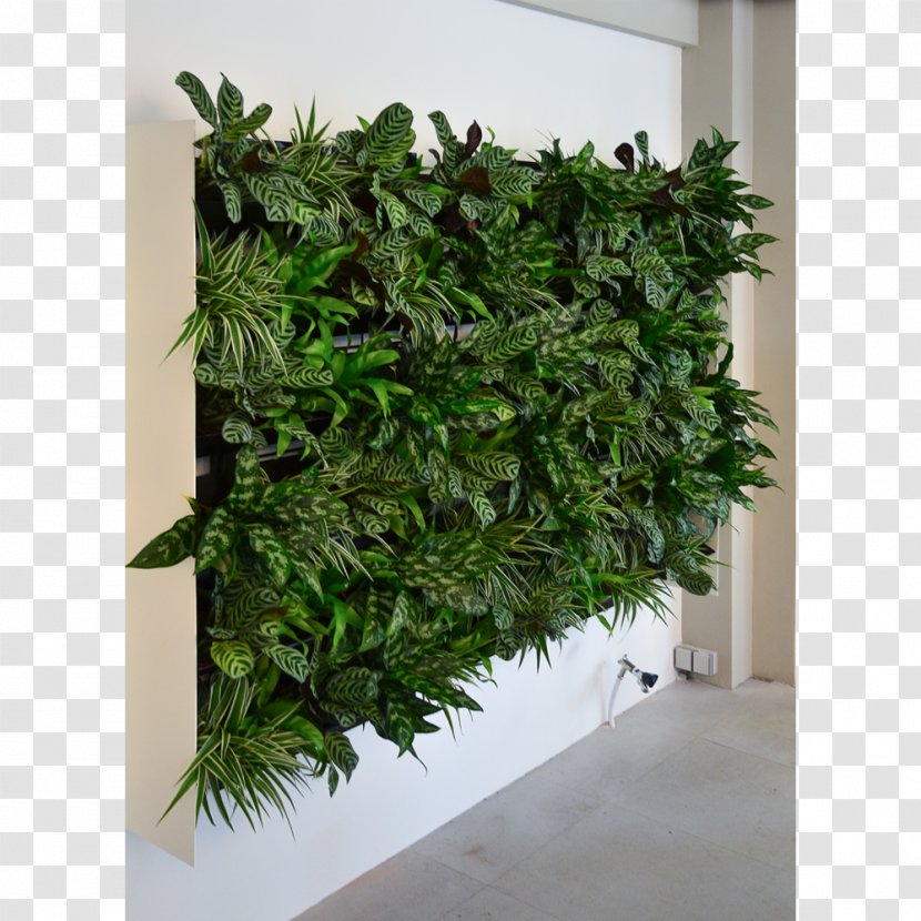 Flowerpot Green Wall Garden Houseplant - Door - Plant Transparent PNG