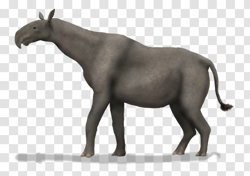 Mule Near Horn Beast Artist Mustang - Art Transparent PNG