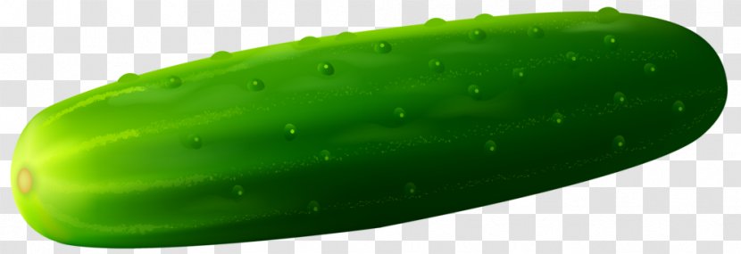Cucumber Vegetable Clip Art - Fruit Transparent PNG