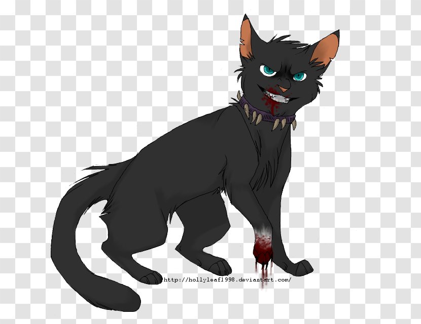 Whiskers Kitten Black Cat Demon Canidae Transparent PNG
