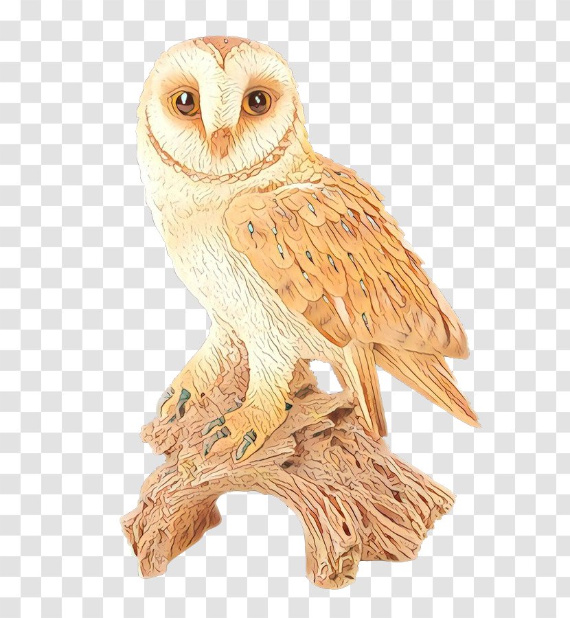 Bird Cartoon - Drawing - Animal Figure Of Prey Transparent PNG