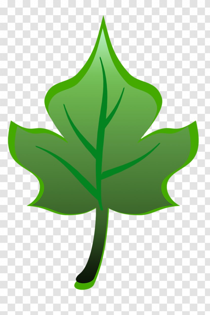 Leaf Plant Stem Tree Clip Art Transparent PNG