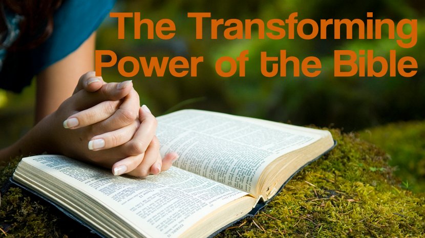 Answers To Prayer God Sinner's Praise - Liturgy - Holy Bible Transparent PNG
