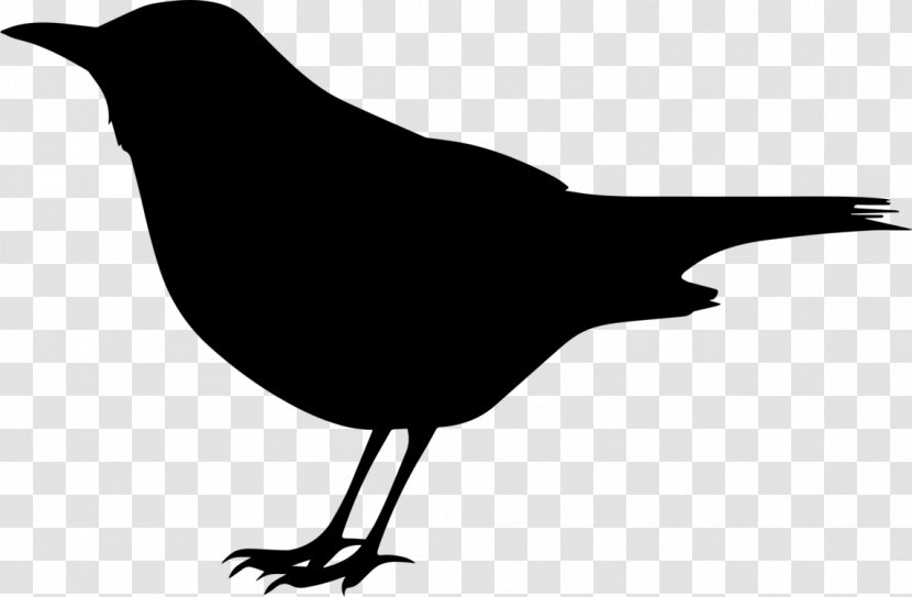 Robin Bird - Beatles - Crowlike Blackandwhite Transparent PNG