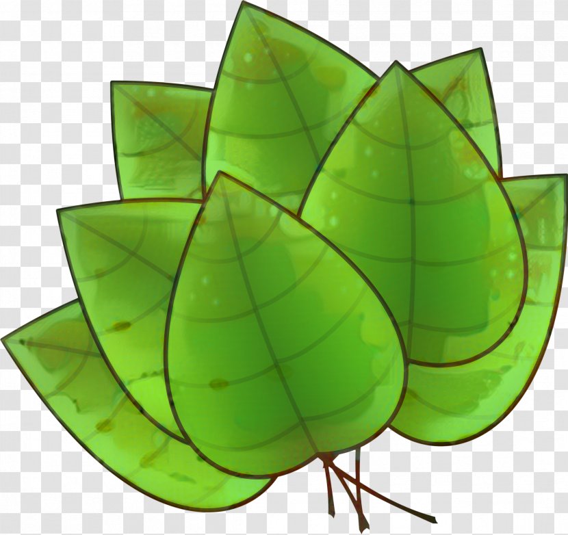 Autumn Fall Leaves - Plant - Symmetry Transparent PNG