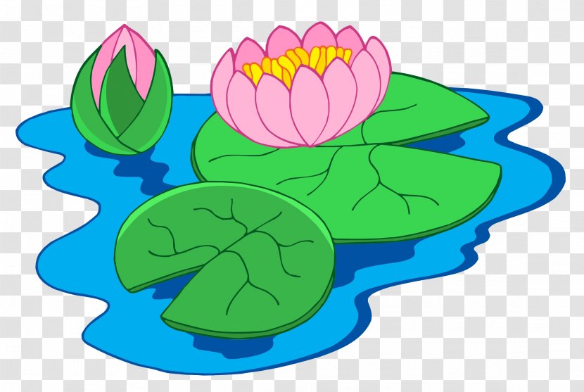 Nymphaea Alba Clip Art - Artwork - Lotus In Pond Transparent PNG