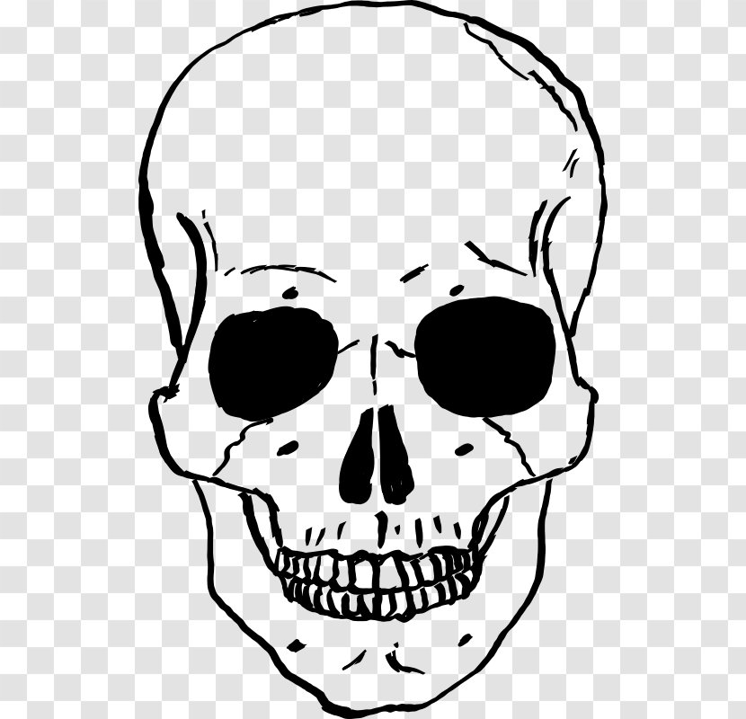 Skull Clip Art - Skeleton - Pirates Transparent PNG