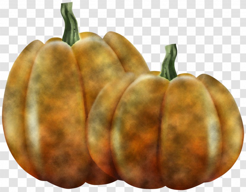 Pumpkin - Capsicum - Winter Squash Calabaza Transparent PNG