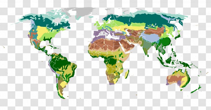 World Map Biome Vegetation - Organism Transparent PNG
