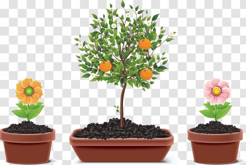 Flowerpot Houseplant - Shrub - Garden Plants Transparent PNG