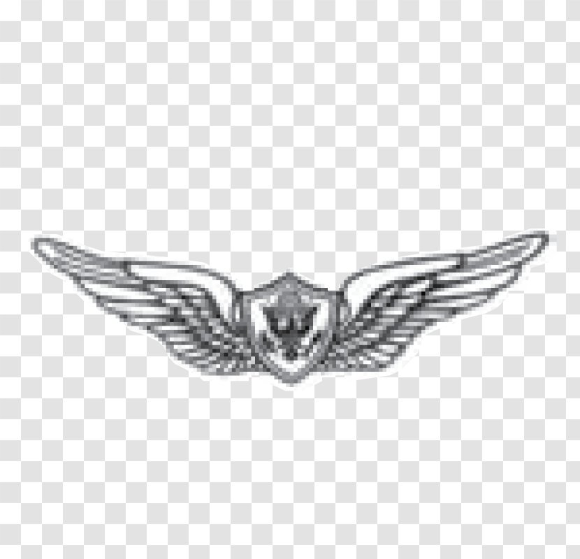 Lapel Pin Military Aircrew Badge Army - Silver Transparent PNG