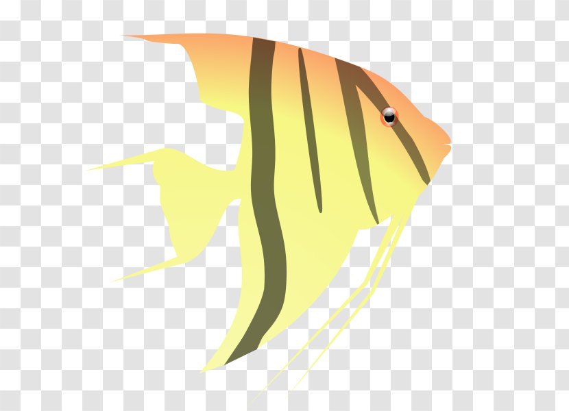 Clip Art - Royaltyfree - Angelfish Clipart Transparent PNG