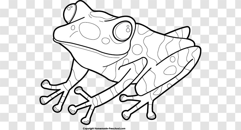 The Frog And Toad Coloring Book Are Friends - Cartoon - Bear Pages For Preschoolers Emotions Transparent PNG